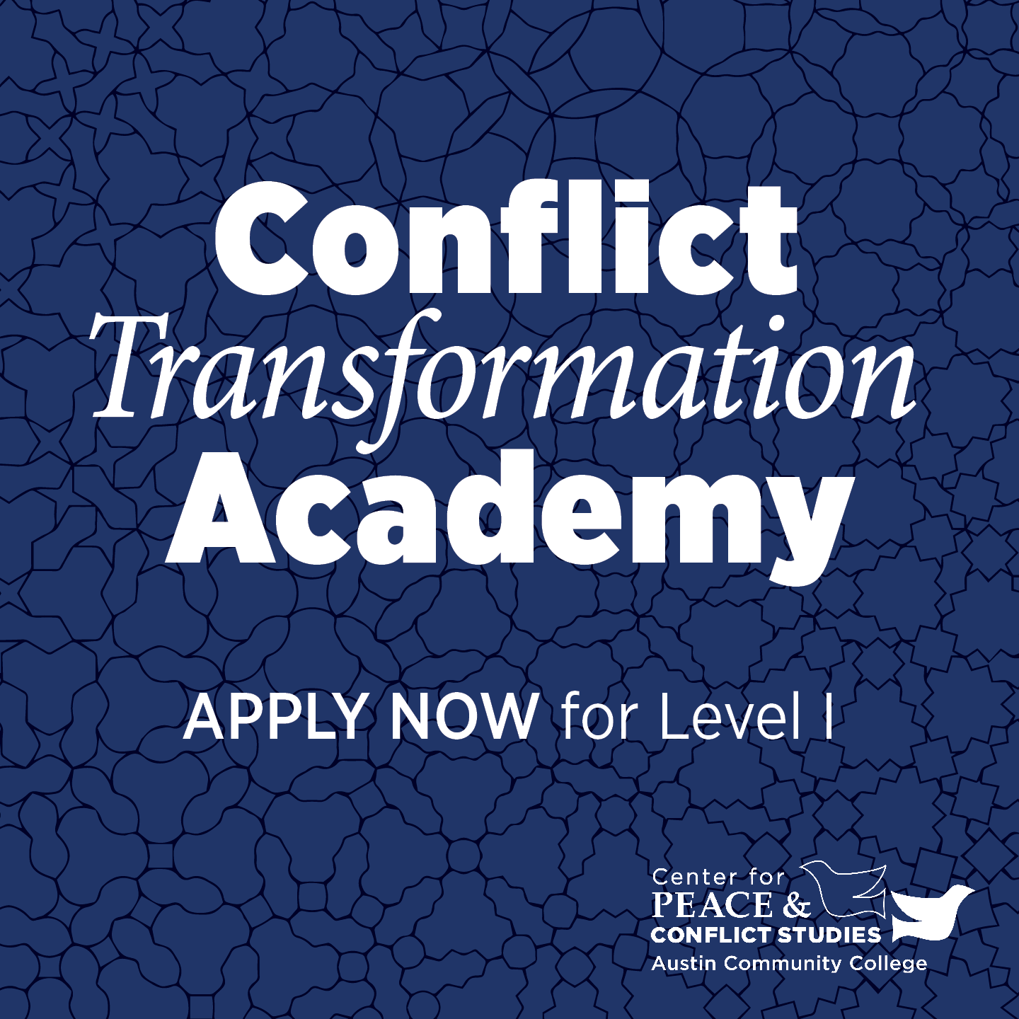 Conflict Transformation Academy level 1