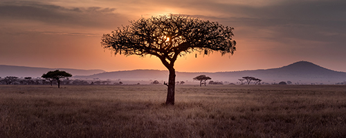 African landscape