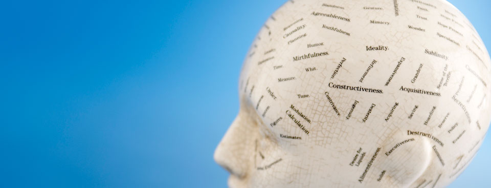 Model of head