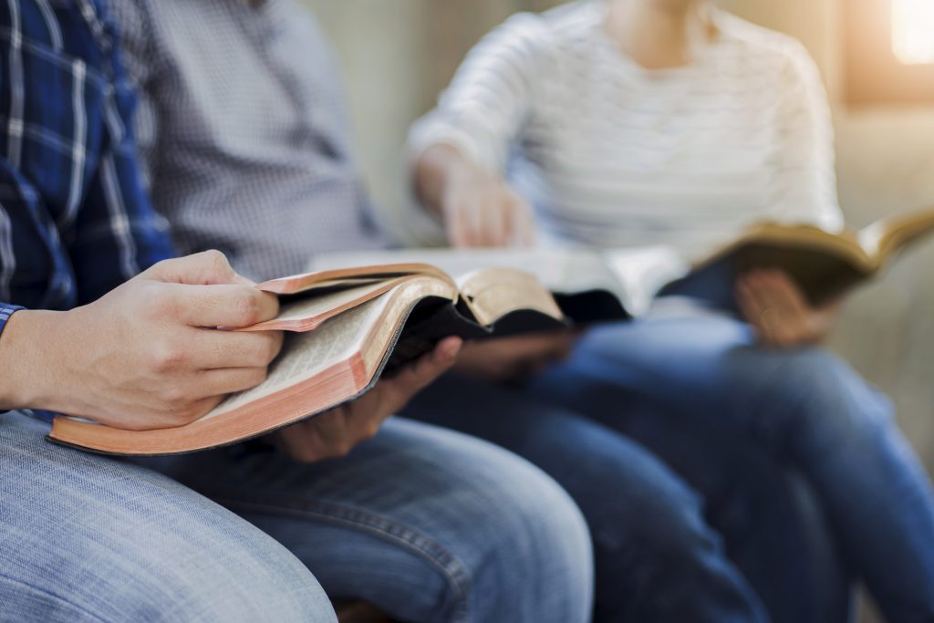 Group reading and studying together